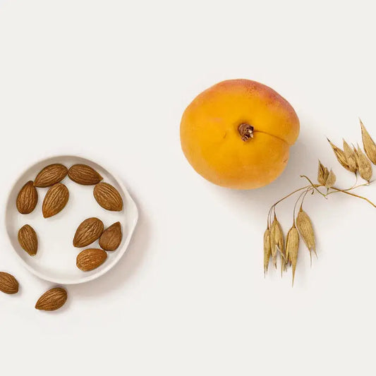 Dr. HAUSCHKA Apricot Day Cream 30ml | Dr. HAUSCHKA | AbsoluteSkin