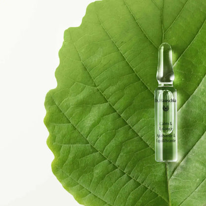 Clear ampoule on a large green leaf with 'Dr. Hauschka' branding.