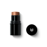 Load image into Gallery viewer, Dr. HAUSCHKA Lip to Cheek (Gold 04) - AbsoluteSkin
