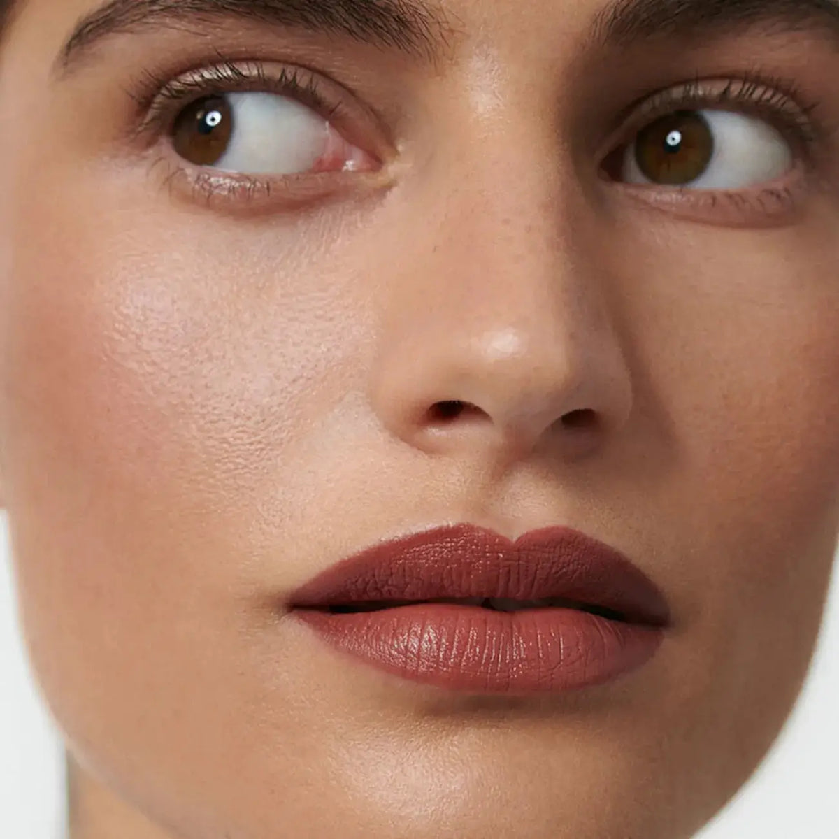Dr. HAUSCHKA Lipstick (14 Caralluma) 4.1g | Dr. HAUSCHKA | AbsoluteSkin