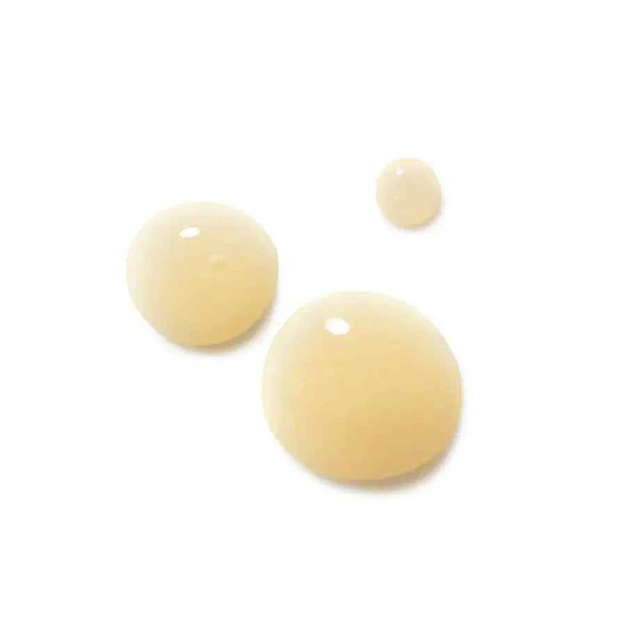 Dr. HAUSCHKA Regenerating Intensive Night Serum 30ml | Dr. HAUSCHKA | AbsoluteSkin