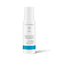 Load image into Gallery viewer, Dr. HAUSCHKA (Med) Ice Plant Face Cream 40ml % | product_vendor%
