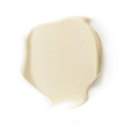 Dr. HAUSCHKA (Med) Ice Plant Face Cream 40ml | Dr. HAUSCHKA | AbsoluteSkin