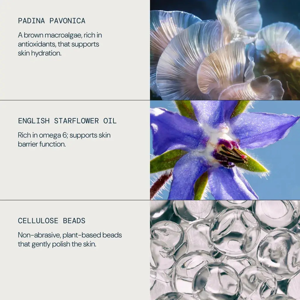 ELEMIS Pro Collagen Glow Boost Exfoliator 100ml | ELEMIS | AbsoluteSkin