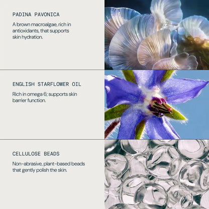 ELEMIS Pro Collagen Glow Boost Exfoliator 100ml | ELEMIS | AbsoluteSkin
