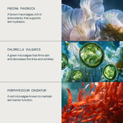ELEMIS Pro Collagen Marine Cream 50ml | ELEMIS | AbsoluteSkin