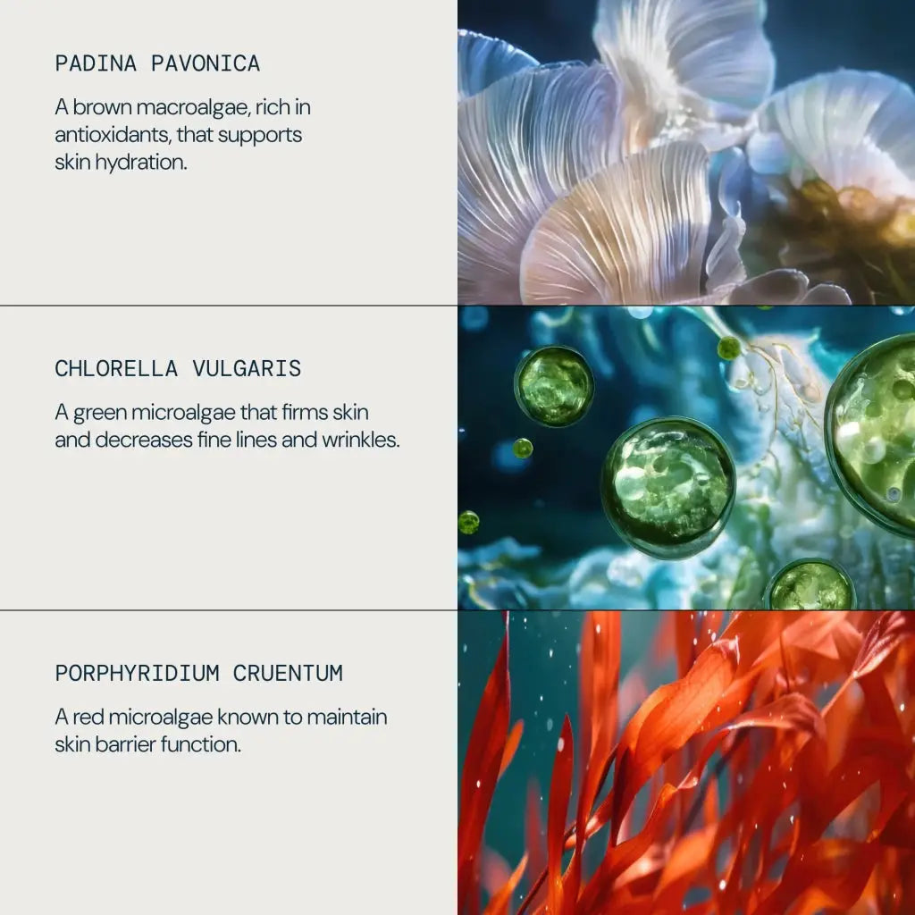 ELEMIS Pro Collagen Marine Cream Ultra Rich 50ml | ELEMIS | AbsoluteSkin