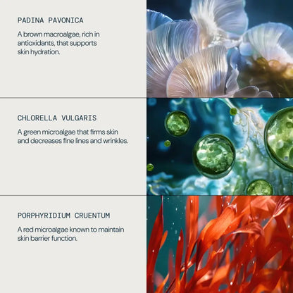 ELEMIS Pro Collagen Marine Cream Ultra Rich 50ml | ELEMIS | AbsoluteSkin
