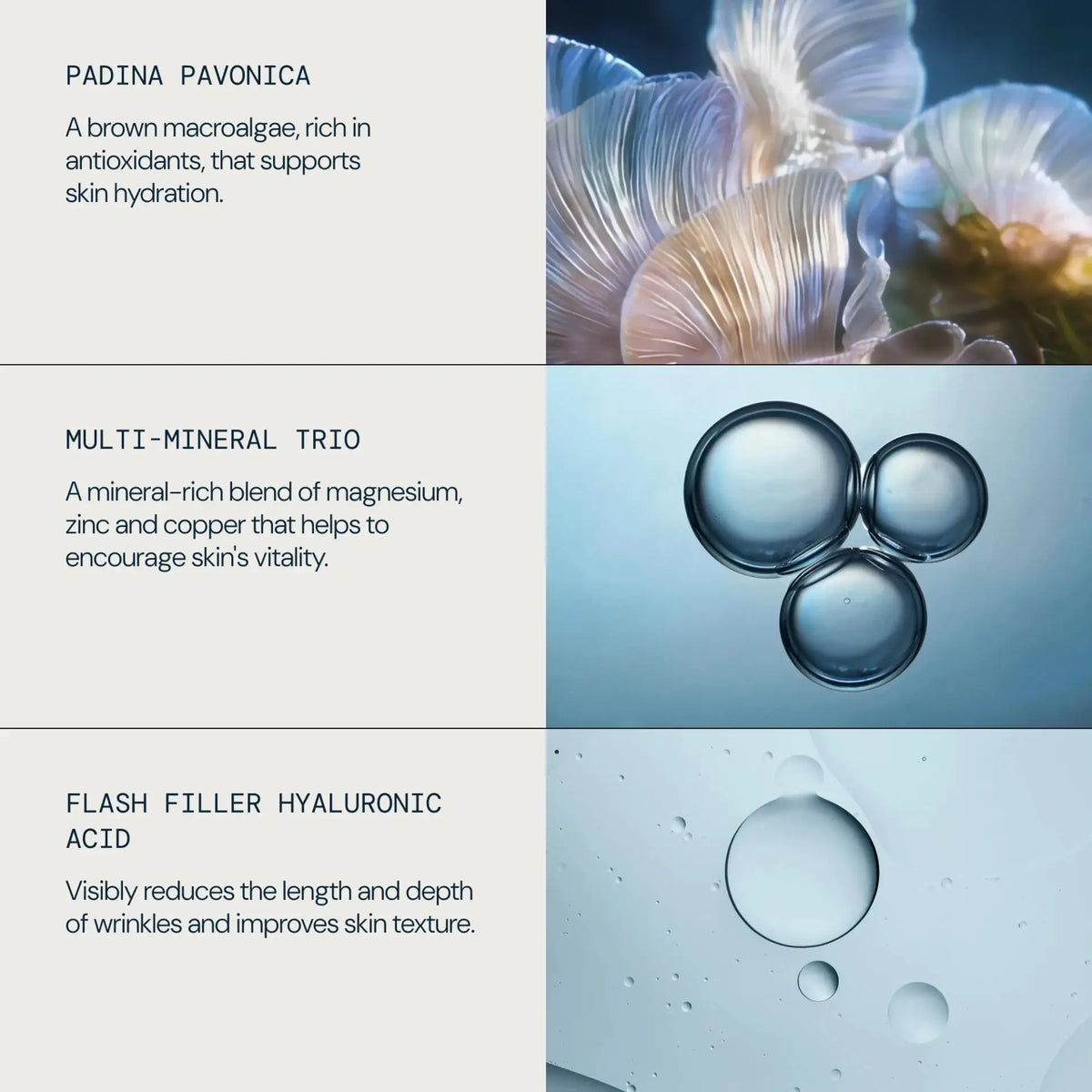 ELEMIS Pro Collagen Marine Moisture Essence 100ml | ELEMIS | AbsoluteSkin