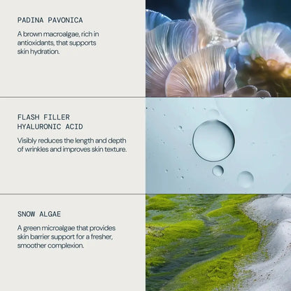 A three-panel informational graphic with text describing skincare ingredients and corresponding close-up product imagery: Padina Pavonica, Flash Filler Hyaluronic Acid, and Snow Algae.