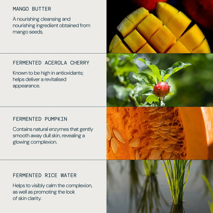A four-panel ingredient benefits graphic for a skincare product. The left panel lists text for Mango Butter, Fermented Acerola Cherry, Fermented Pumpkin, and Fermented Rice Water.