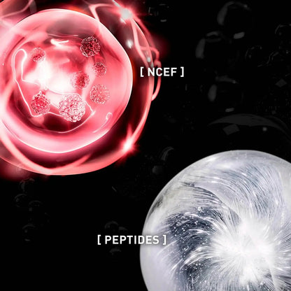 Illustration of a red and white spherical object with 'NCEF' and 'Peptides' labels on a dark background.