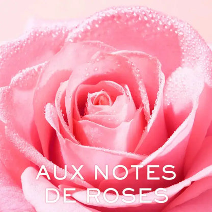 Close-up of a pink rose with 'Aux Notes de Roses' text overlay.