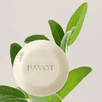 PAYOT Solid Biome Friendly Shampoo 80g | Payot | AbsoluteSkin