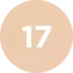 Load image into Gallery viewer, Round beige color swatch with the number 17 in white
