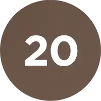 Load image into Gallery viewer, Brown circle with the number 20 in white
